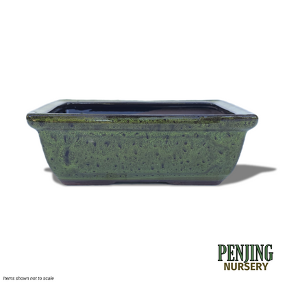 Forest Green Rectangular Bonsai Pot 8"